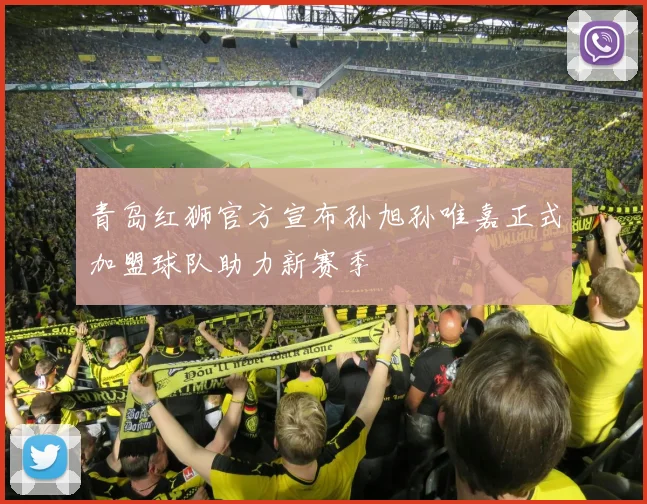 青岛红狮官方宣布孙旭孙唯嘉正式加盟球队助力新赛季